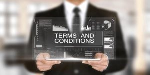 bgd33 Terms and Conditions