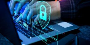 Bgd33 Privacy Policy Data Protection And Security