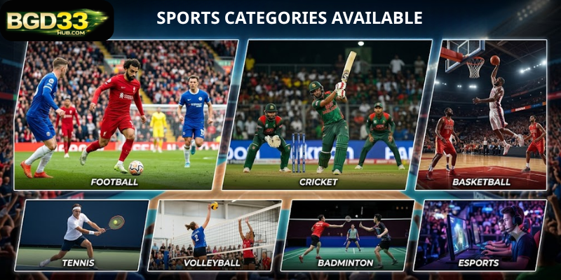Sports Categories Available